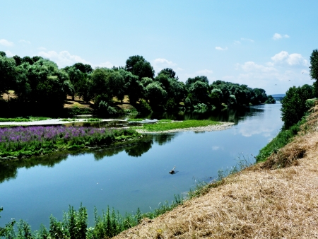 The Arno River in the north of Florence, Italyの写真素材