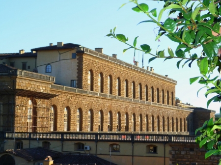 Palazzo Pitti, Florence, Italyのeditorial素材