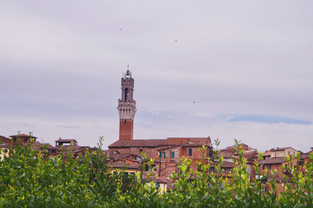 Landscape of Siena, Italyの写真素材