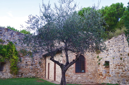 Rocca of San Gimignano, Tuscany, Italyのeditorial素材