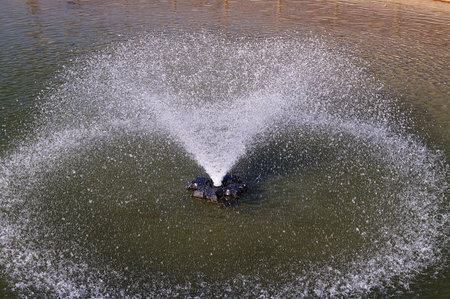 Fountain in San Donato park, Florence, Italy