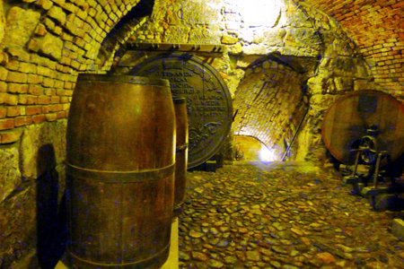 Winery in Pilsen, Czech Republic