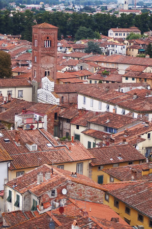 Aerial view from the Guinigi Tower of Lucca, Tuscany, Italyの写真素材