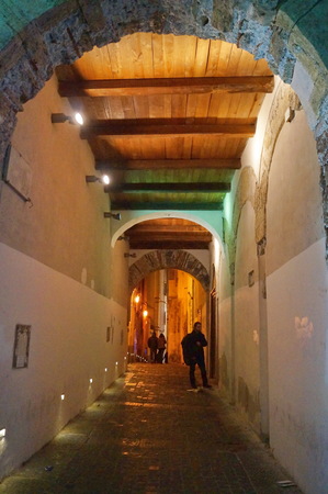Typical alley of Salerno at night Italyのeditorial素材