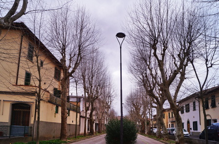 Entrance Avenue to Villa Ambrogiana, Montelupo Fiorentino, Tuscany, Italyのeditorial素材