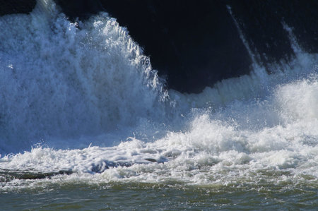 Weir of the Cascine on the Arno river in Florence, Italy