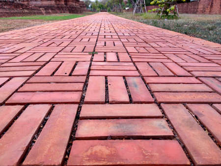 Ayutthaya Historical Park in Ayutthaya, Thailand in a summer dayの写真素材