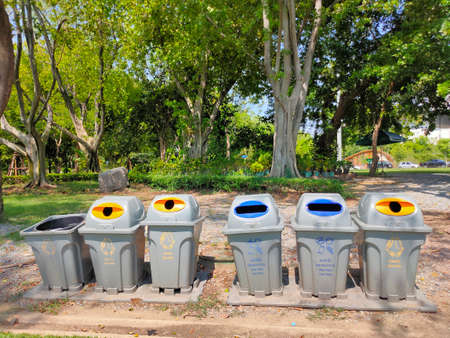Beautiful meadow and tree in the park, Thailandの写真素材