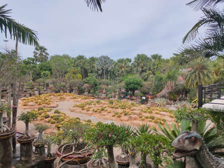 dinosaur in the jungleのeditorial素材