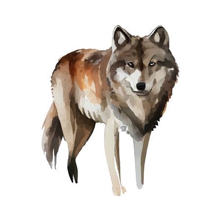 Watercolor portrait of wolf isolated on white background. illustration.