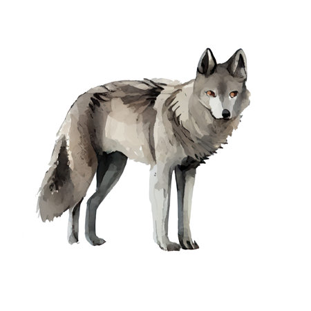 Watercolor illustration of a wolf. Isolated on white background.