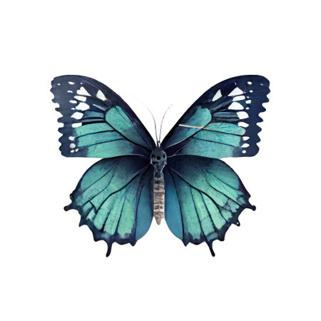Blue butterfly isolated on white background. Watercolor illustration. Hand drawn.の写真素材
