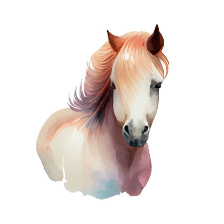 Watercolor portrait of a horse. Hand drawn illustration isolated on white background.の写真素材
