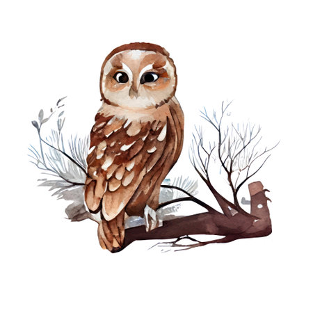 Watercolor owl on branch. Hand painted illustration isolated on white backgroundの写真素材