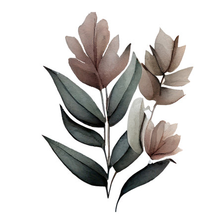 Eucalyptus leaves. Hand drawn watercolor illustration.の写真素材