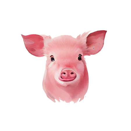 Watercolor pig. Isolated on white background. illustration.の写真素材