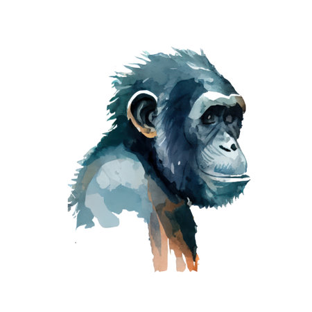 Chimpanzee. Hand drawn watercolor illustration isolated on white backgroundの写真素材