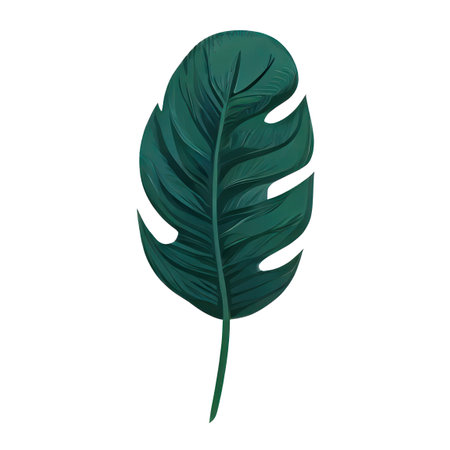 tropical leaf icon over white background. colorful design.の素材