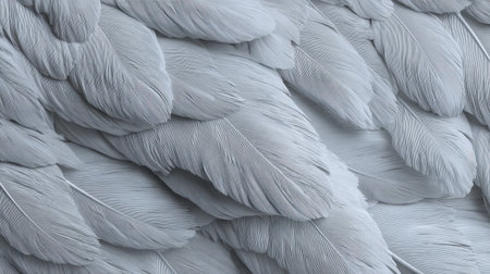 This image showcases a close-up view of soft light grey feathers, displaying intricate patterns and textures that evoke a sense of elegance and calmness.の素材