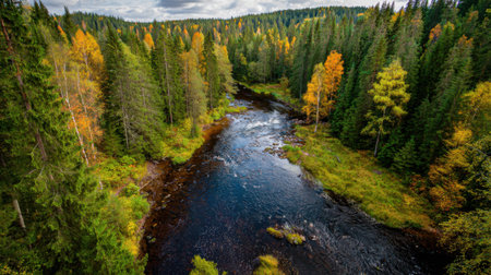 A breathtaking view of a peaceful river winding through a vibrant forest filled with autumn colors. This natural landscape evokes tranquility.の素材