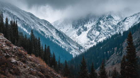A breathtaking winter landscape featuring snow-covered mountains surrounded by a lush evergreen forest under a dramatic cloudy sky.の素材