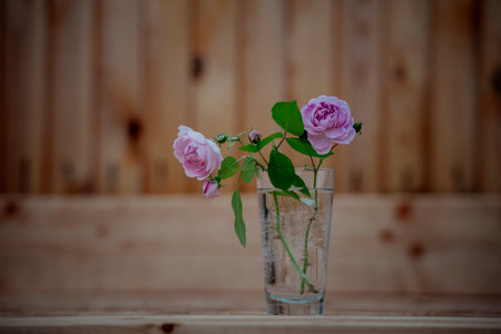 Pink roses in a glass vase on a wooden background. Vintage style.の写真素材