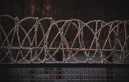 Snow-covered barbed wire fence with evening sunlightの写真素材