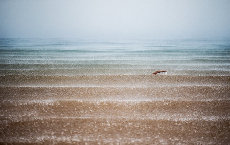 Lonely swimmer in the rainの写真素材