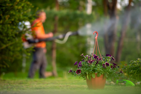 A man is spraying garden trees. Gardening concept.の写真素材