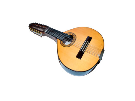 handmade instrument similar to a twelve-string lute