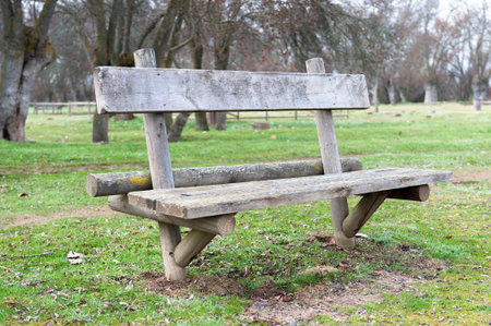 seat made of wood isolated on wooded background