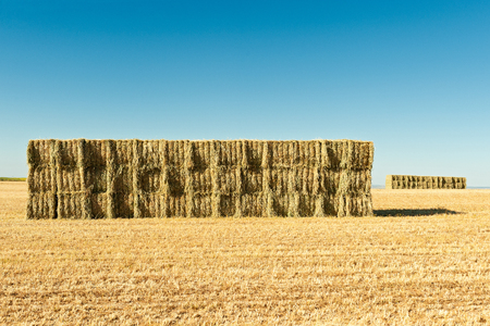 rustic store straw on background with blue skyの写真素材