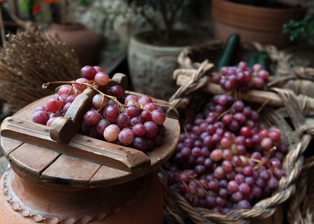 still life of grapes and rustic wicker baskets airの写真素材