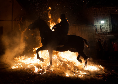 Horses jumping above the fire without fearの写真素材