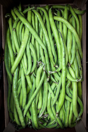 Green vegetables isolated from the background in the foregroundの写真素材