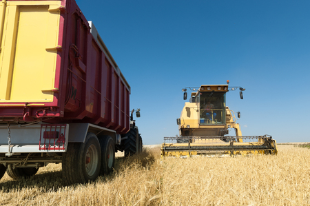 Agricultural machinery working on the Barley tour with Sunny dayの写真素材