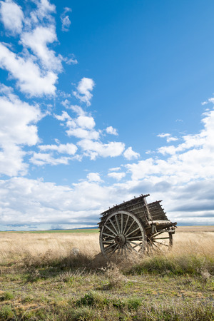 Ox cart in the field with sunset lightの写真素材