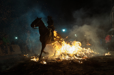 Horse passing over the bonfire of Piornos, as a tradition to purify the soul of animals, in the celebration carried out in the town of San BartolomÃ© de Pinares, province of Avila, Spain, on January 16のeditorial素材