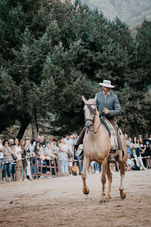 riding horseback riding in horse dressage and dance exhibition, held in the town of Serranillos- Avila- Spain, during the month of August 2019 on the occasion of the horse fairのeditorial素材