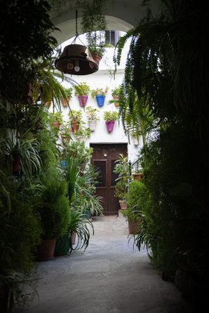 summer image of the town of Vejer de la Frontera, CÃ¡diz, in summer time with blue sunny daylight.