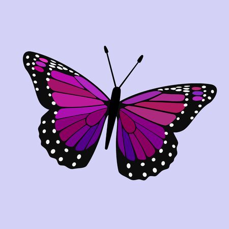 Butterfly Vector - Violet Wings, Simple Abstract Digital Illustrationのイラスト素材