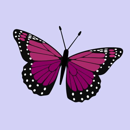 Butterfly Vector - Purple Wings, Simple Abstract Digital Illustrationのイラスト素材