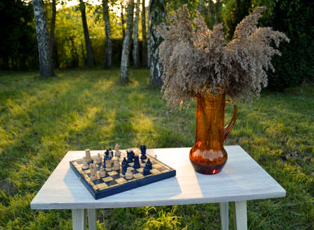 Game of Chessの写真素材