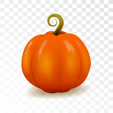 Pumpkin for Halloween. Autumn holidays. Realistic vector pumpkin on transparency grid background.のイラスト素材