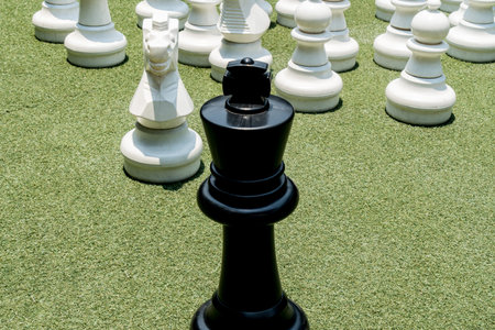 Part of Chess game on green grass