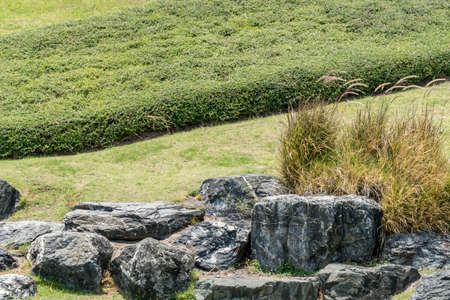 Big stones on green grass backgroundの写真素材