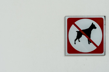 No dogs allowed sign on white concrete wallの写真素材