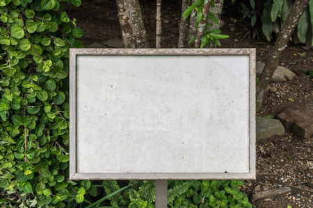 Blank dirty white board on the treeの写真素材