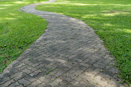 Concrete pathway with green grass in the park