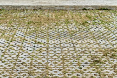 Concrete block floor with green grass perspective viewの写真素材